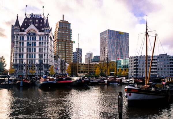 Van strand tot actie: zo organiseer je een bedrijfsuitje in Zuid-Holland dat iedereen leuk vindt